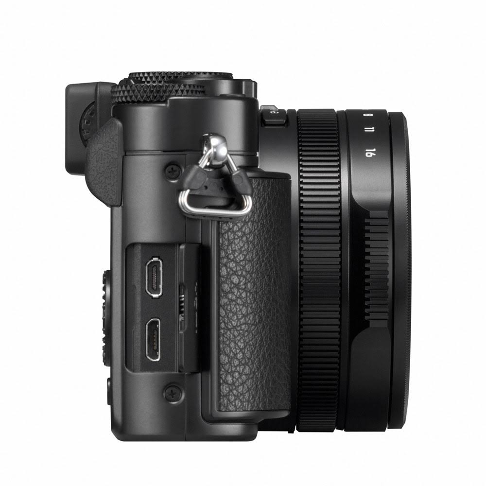 Panasonic Lumix Dc-lx100 II Digital Camera (Black)