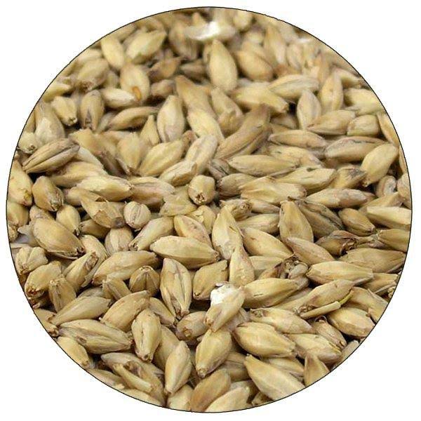 Briess Organic 2-Row Malt - Bulk, 50 lb. Sack - Unmilled