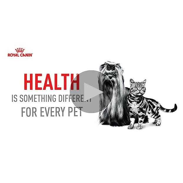 Royal Canin Canine Health Nutrition Adult Beauty Loaf in Sauce Canned Dog Food - Pet Supplies online store