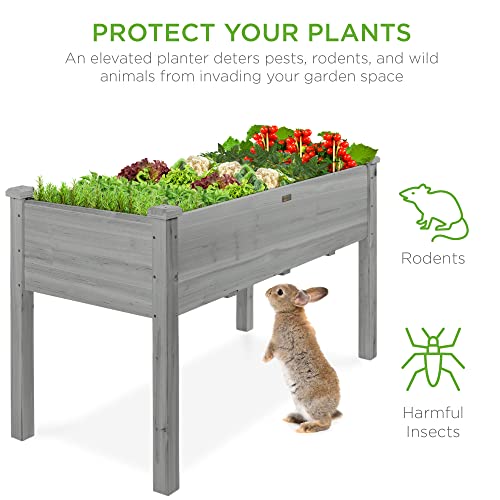 Best Choice Products 72x23x30in Raised Garden Bed, Elevated Wood Planter Box Stand for Backyard, Patio, Balcony w/Divider Panel, 6 Legs