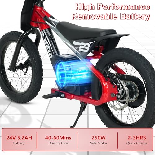 wanan Electric Dirt Bike for Kids 6-12 with Shock-Absorbing Front Fork, 250W Electric Motorcycle Up to 15.5MPH, 24V Detachable Battery, 16''