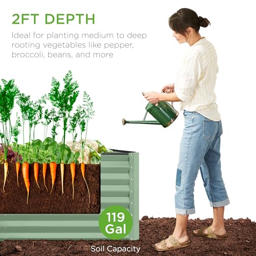 Best Choice Products 8x4x2ft Outdoor Metal Raised Garden Bed, Deep Root Planter Box for Vegetables, Flowers, Herbs