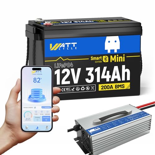 12V 314Ah Mini LiFePO4 Lithium Battery with Bluetooth 5.0, 200A BMS, 4.01kWh Energy, Upgraded Aluminum Cooling Fins & Braided Copper Wires, for RV