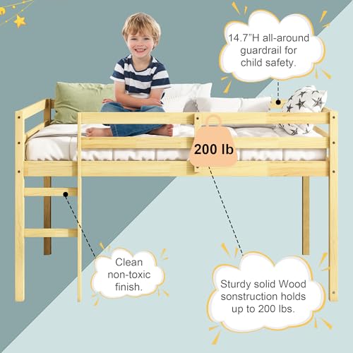 Low Loft Bed Twin Size, Kids Solid Wood Modern Loft Bed Frame with Ladder and Safety Guardrail for Girls Boys, Noise-Free,Non-Toxic Finishes