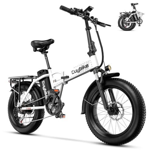 1000W Folding Electric Bike,48V 20AH Removable Battery E Bike,30+MPH,80 Miles Max Range Electric Bike for Adults,20" Fat Tire Foldable ebike