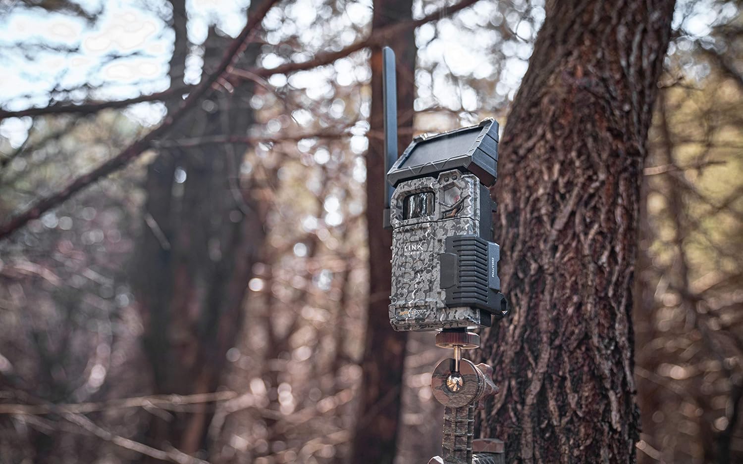 SPYPOINT Link-Micro-S-LTE Solar Cellular Trail Camera with LIT-10 Battery and Bundle Options (Link-Micro-S-LTE-V, 2 PK Trail Bundle)