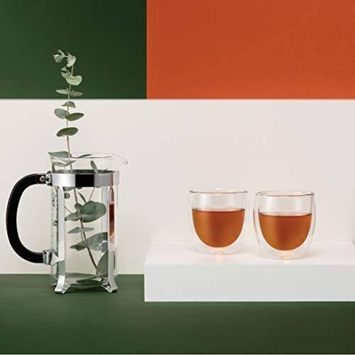 Bodum Pavina Double Walled Thermo Glasses 0.25 L, 8 oz, Pack of 6