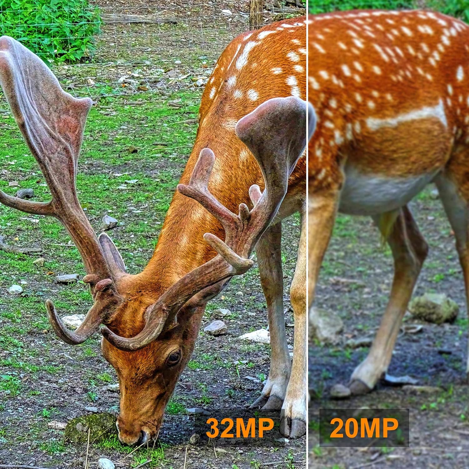 4K 32MP Trail Camera, 0.1s Trigger Motion Activated Game Hunting Camera with Night Vision 80ft No Glow Infrared