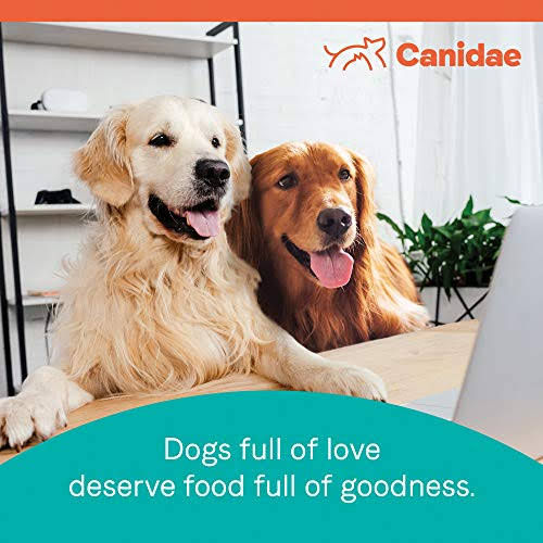 Canidae All Life Stages Dog Dry Food Lamb Meal u0026 Rice Formula, 15 lbs