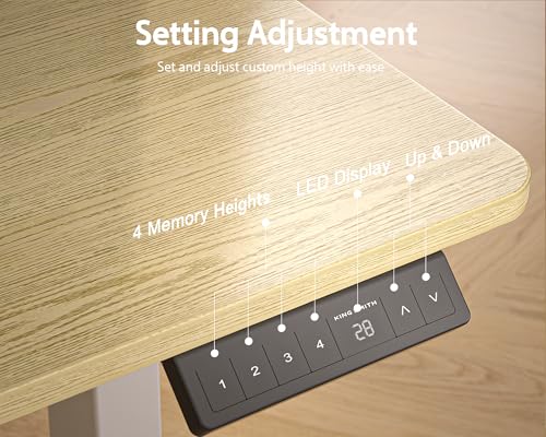 48x24 Inches Electric Standing Desk with 2 Drawers, Height Adjustable Stand up Desk for Home Office, Ergonomic Sit to Stand Table with Storage Shelf