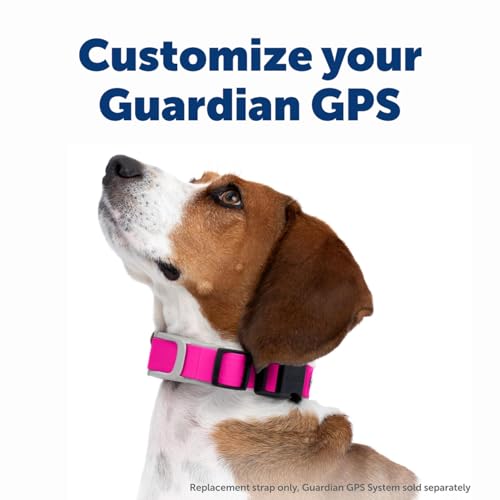 PetSafe Guardian GPS Dog Fence – No Subscription – Create Your Own Wireless Fence for Dogs – for Yards 3/4 Acres or Larger – World's Safest GPS Dog