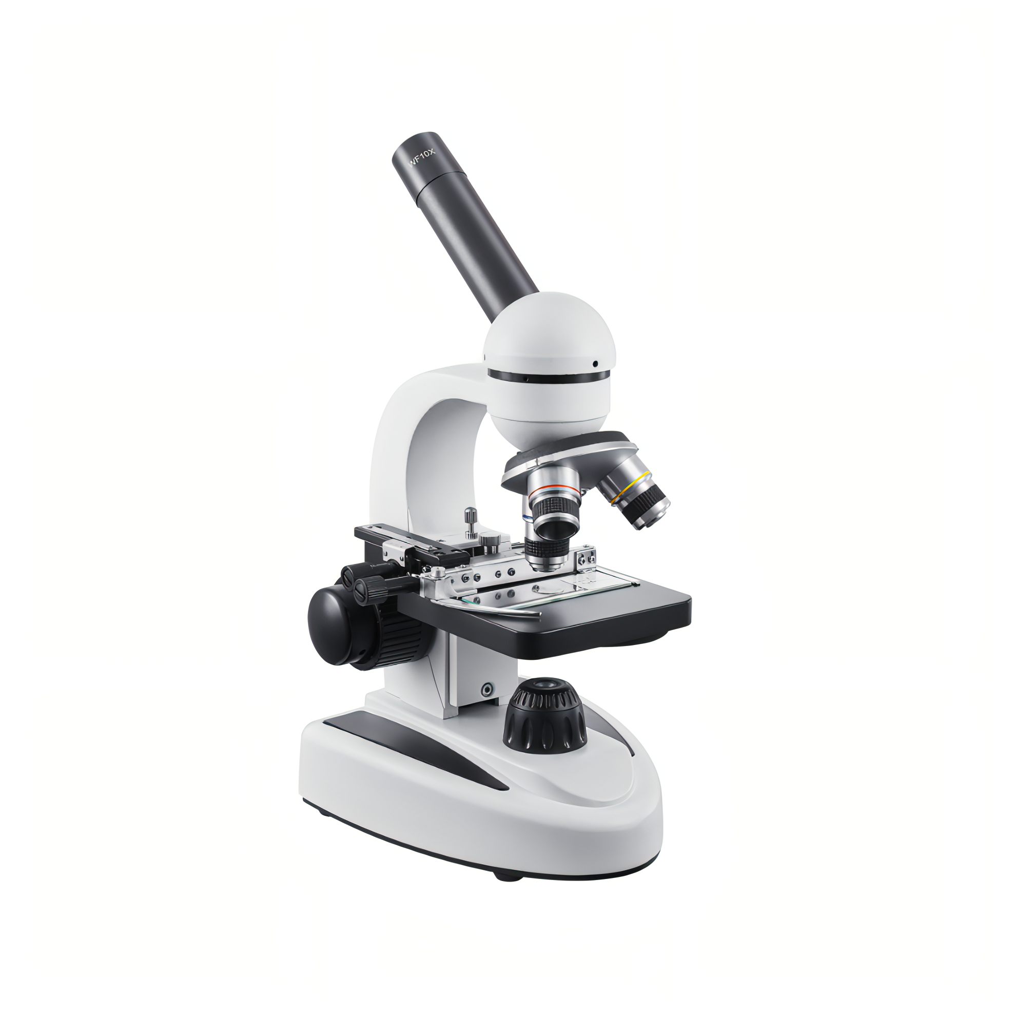 Korons Microscopio