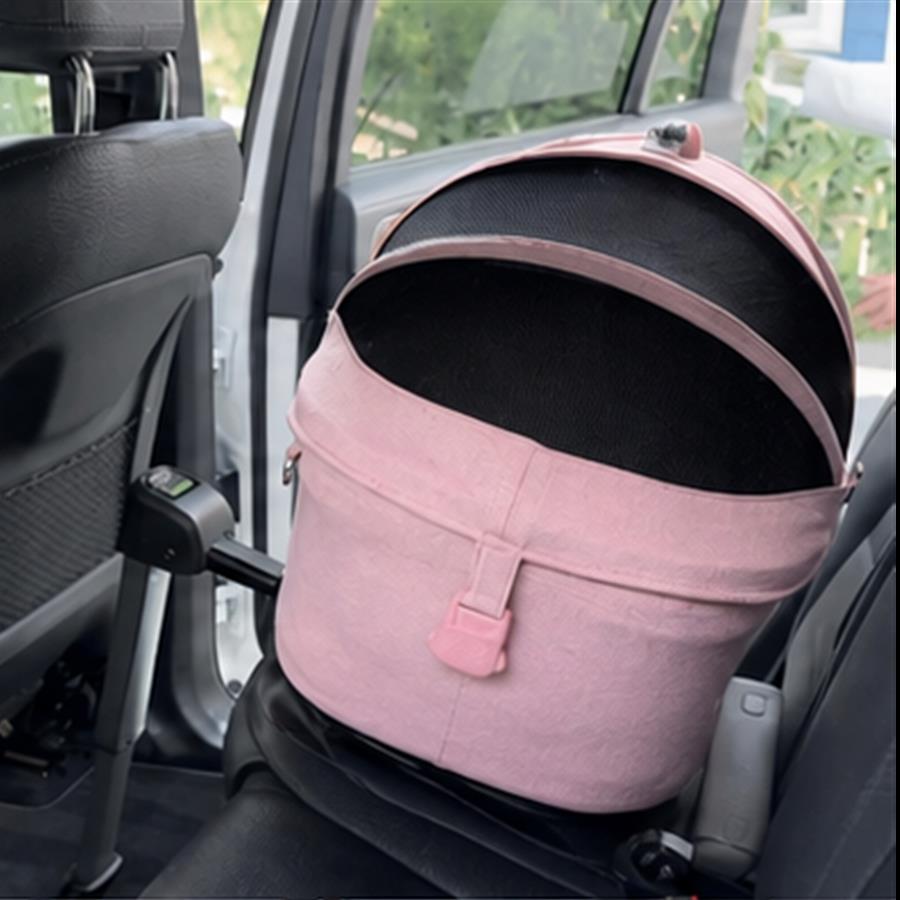 Blush carrier canopy and mesh in car