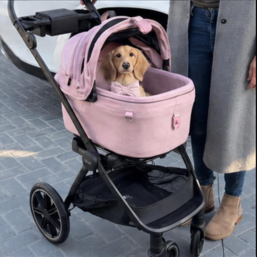 Small dog sitting in the blush carrier on the four-wheel stroller during a neighbourhood walk