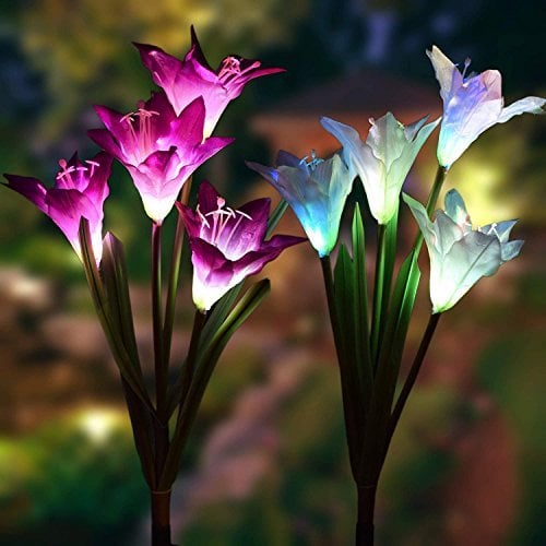 Outdoor Solar Lily Flower Light 🌷