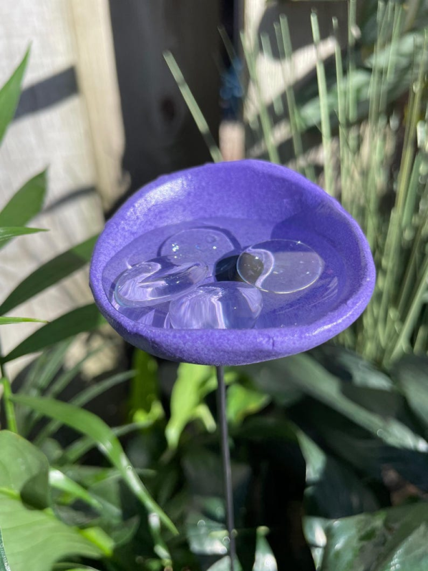 🔥Handmade Bee Watering Station, Butterfly Puddler, Hummingbird Drinking Cups