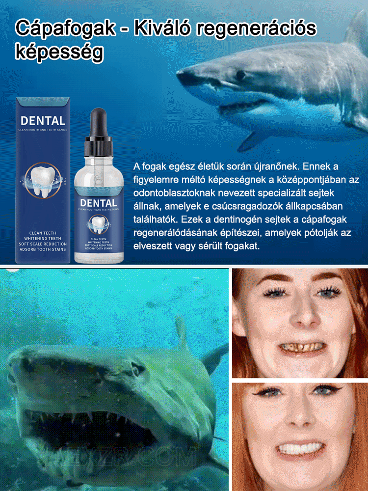 👍Prémium Mélytengeri Fogápoló Cseppek | Fogkő Eltávolítás & Fehérítés Otthon | Azonnali Friss Lehelet & Makacs Foltok Ellen