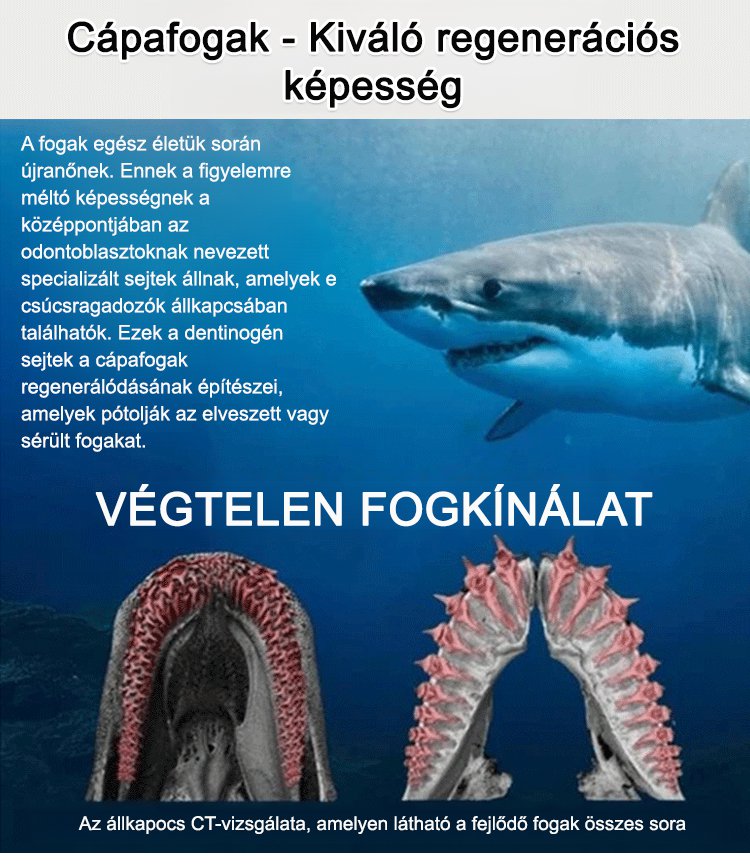 1_07.jpg