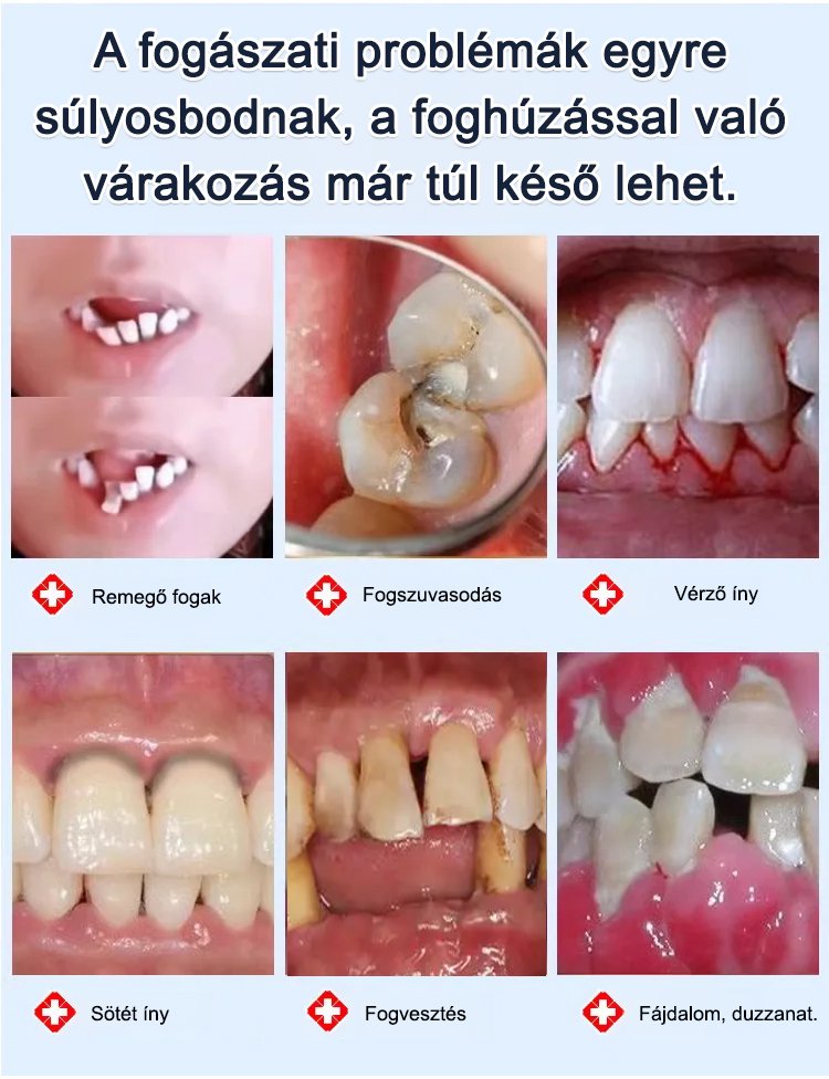 1_02.jpg