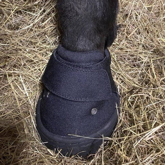Heavy-Duty Equestrian Hoof Boots(1pair): Winter Traction & Protection. Waterproof, durable material with deep-lug sole for grip. Ideal for Nordic & UK climates.