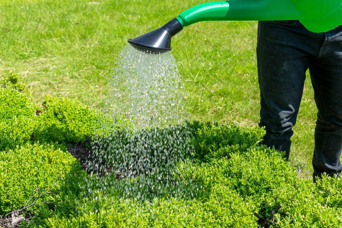 Garden Watering Can 10 Litres-Bathhkroom