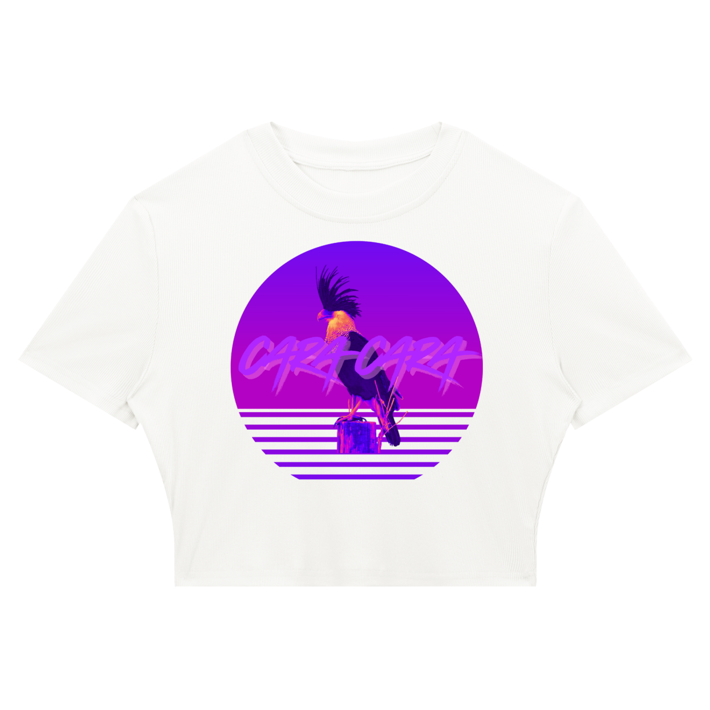 Women's Slim Ribbed Crop T-Shirt