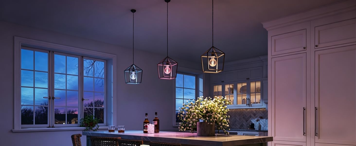 Govee edison bulb