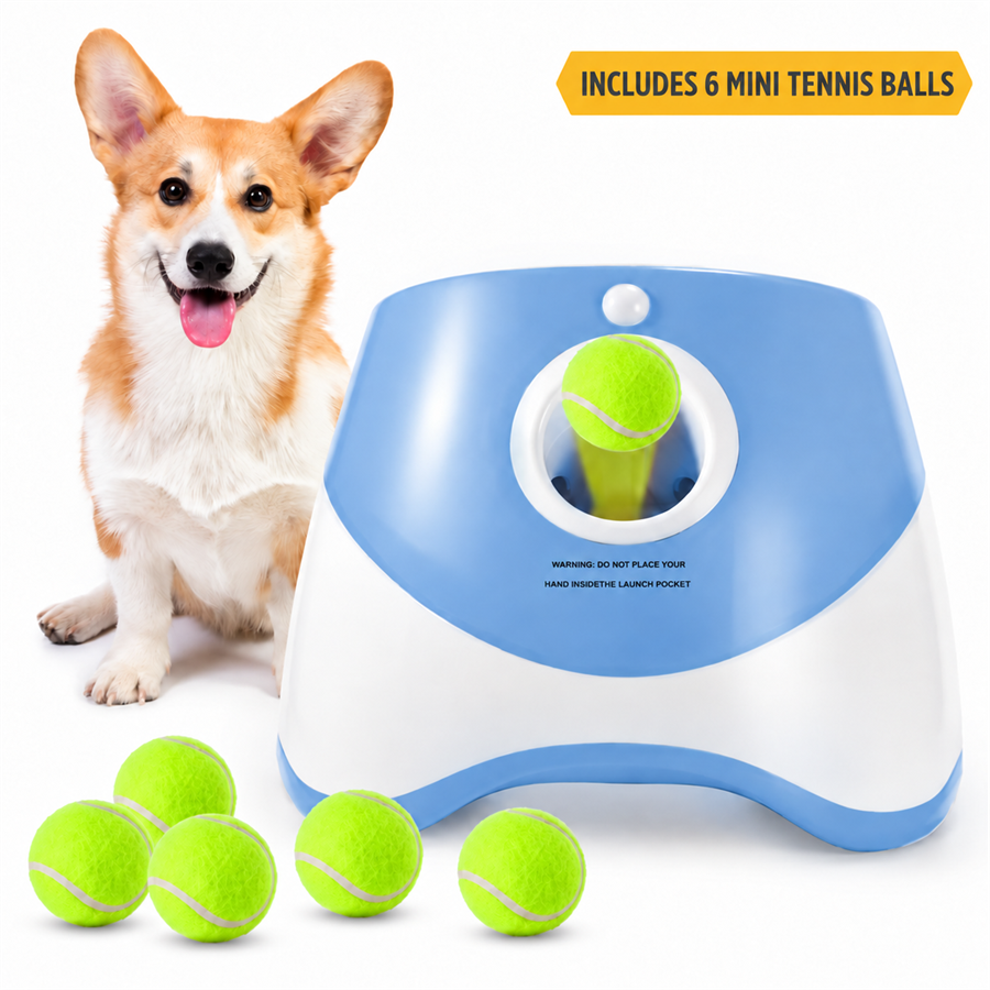 💥 80% OFF Automatic Dog Ball Launcher + 6 Tennis Balls