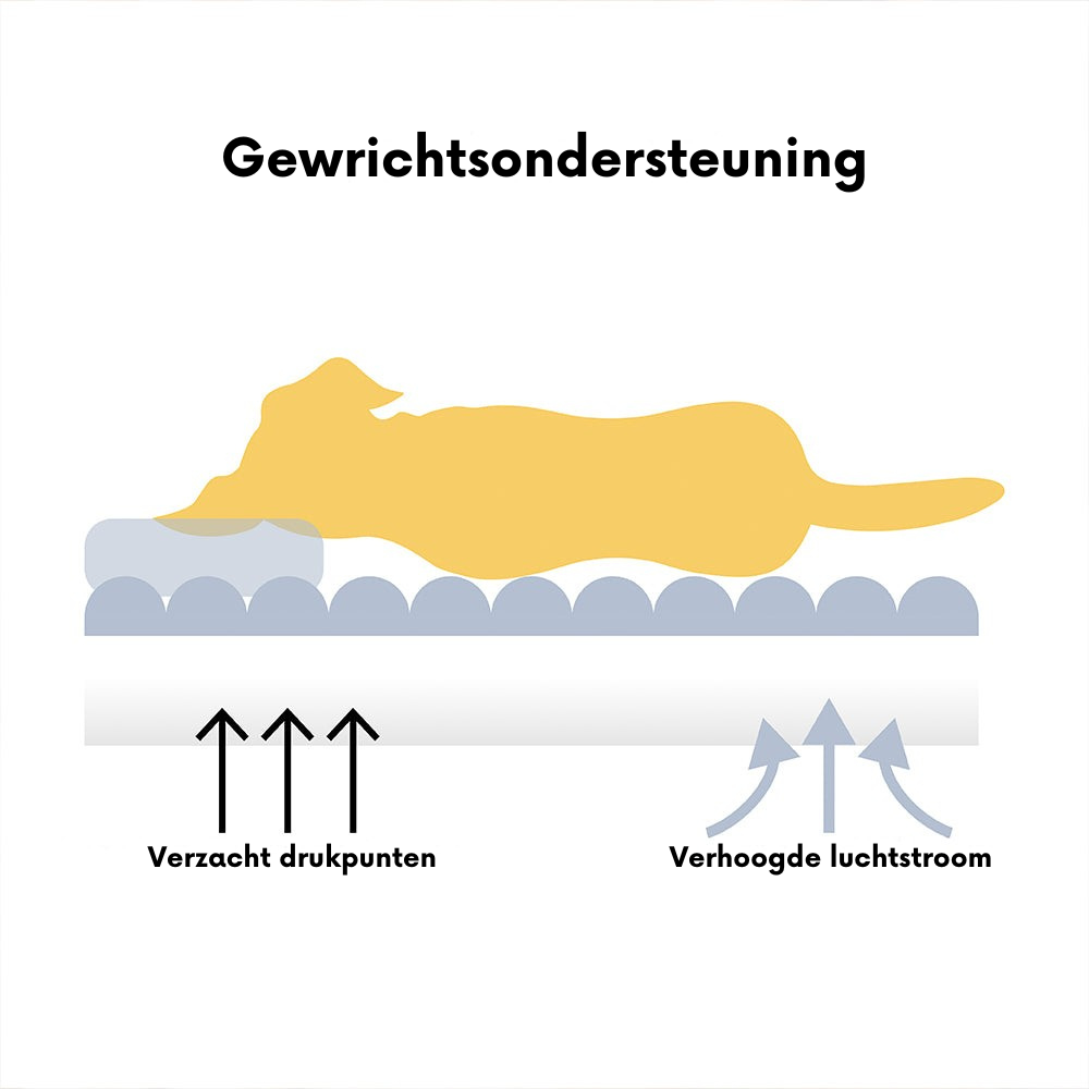 Groot wasbaar zacht orthopedisch hondenkussen Hondensofa-Snoozy Dream-北京欧布科技有限公司