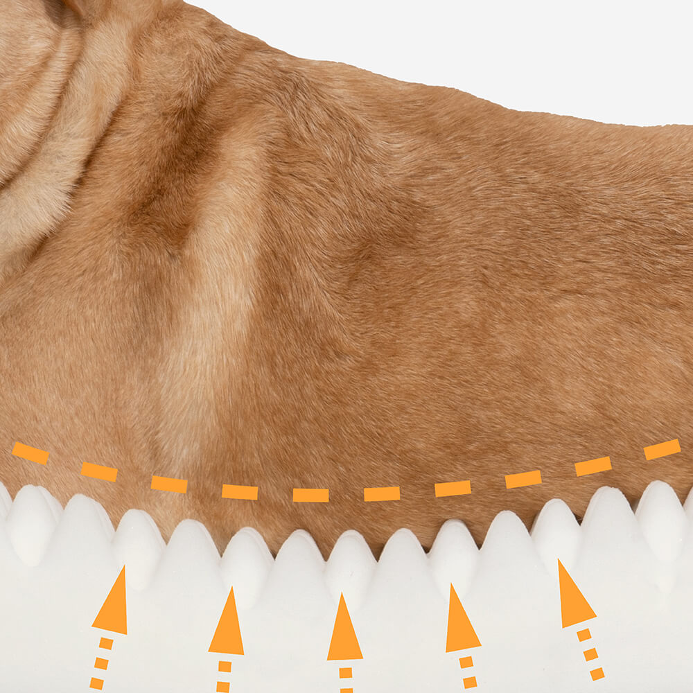 Ultimate Lounger Full Support Comfortable Orthopedic Dog Sofa Bed-wonderminiworld