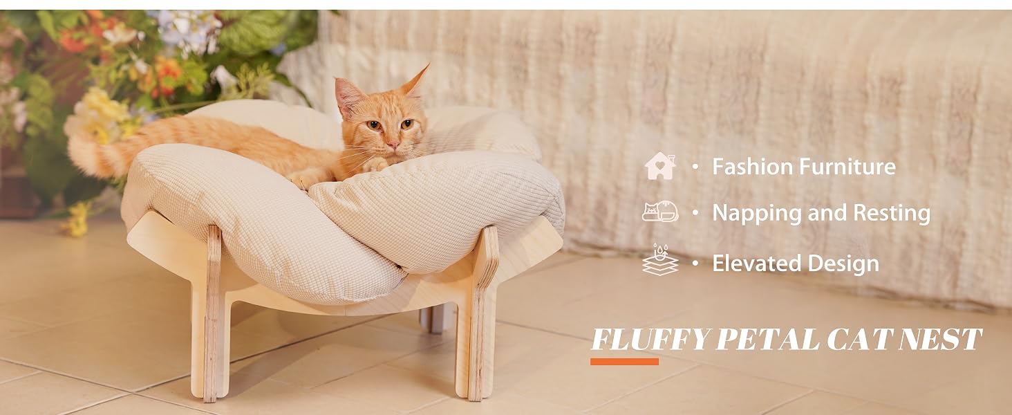 cat bed