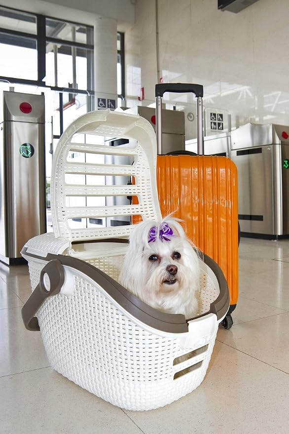Curver Carrier 51 x 38 x 33 cm, White