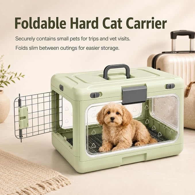 Foldable Hard Cat Carrier, Raised Mesh Floor, Double-Locking Doors