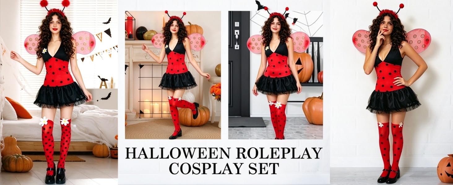 Ladybug Costume
