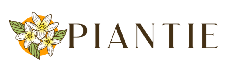 Piantie