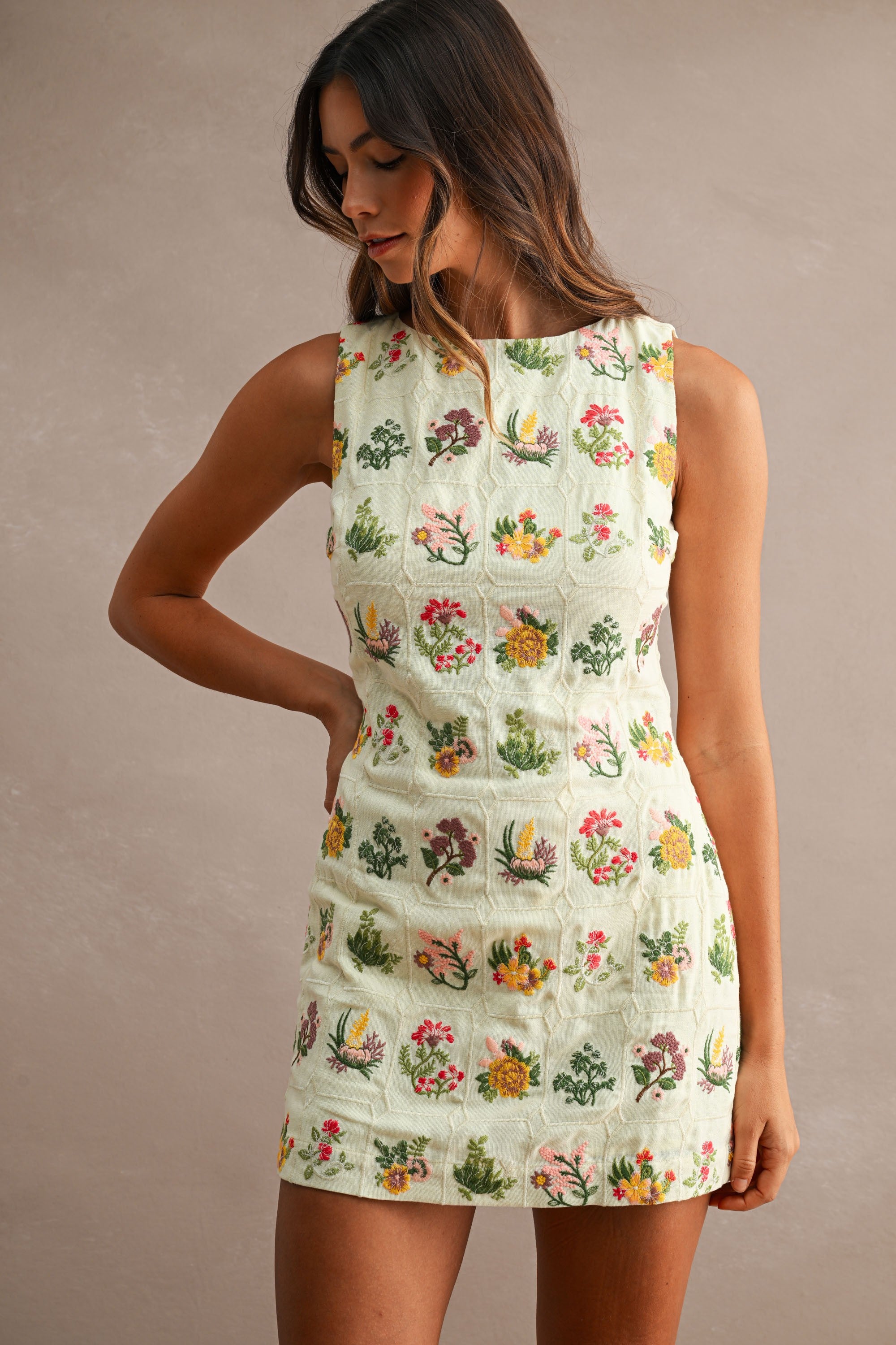 Genevieve Floral Embroidered Shift Mini Dress