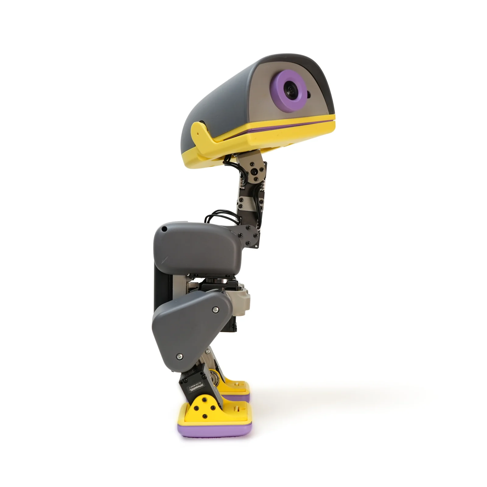 Microduck — Life Companion Upgrade (Cream)