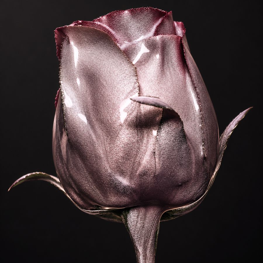 Metallic Rose