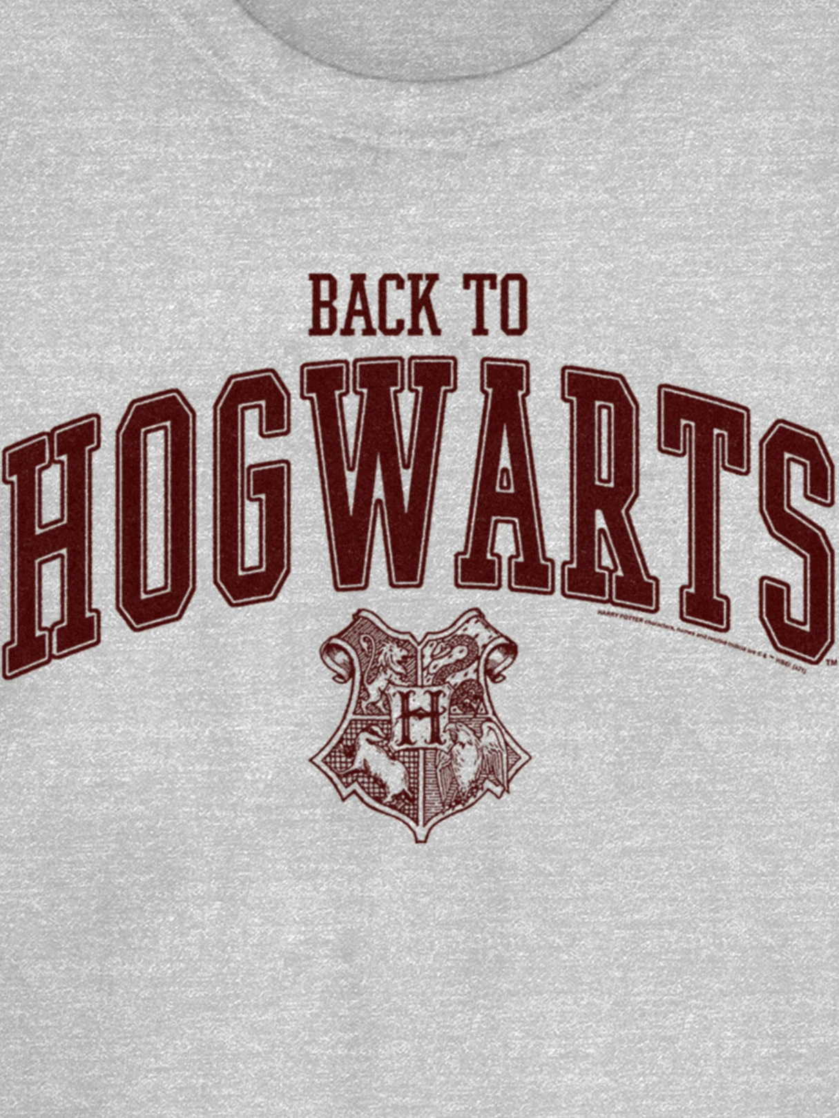 Harry Potter Hogwarts Graphic T-Shirt - Athletic Heather