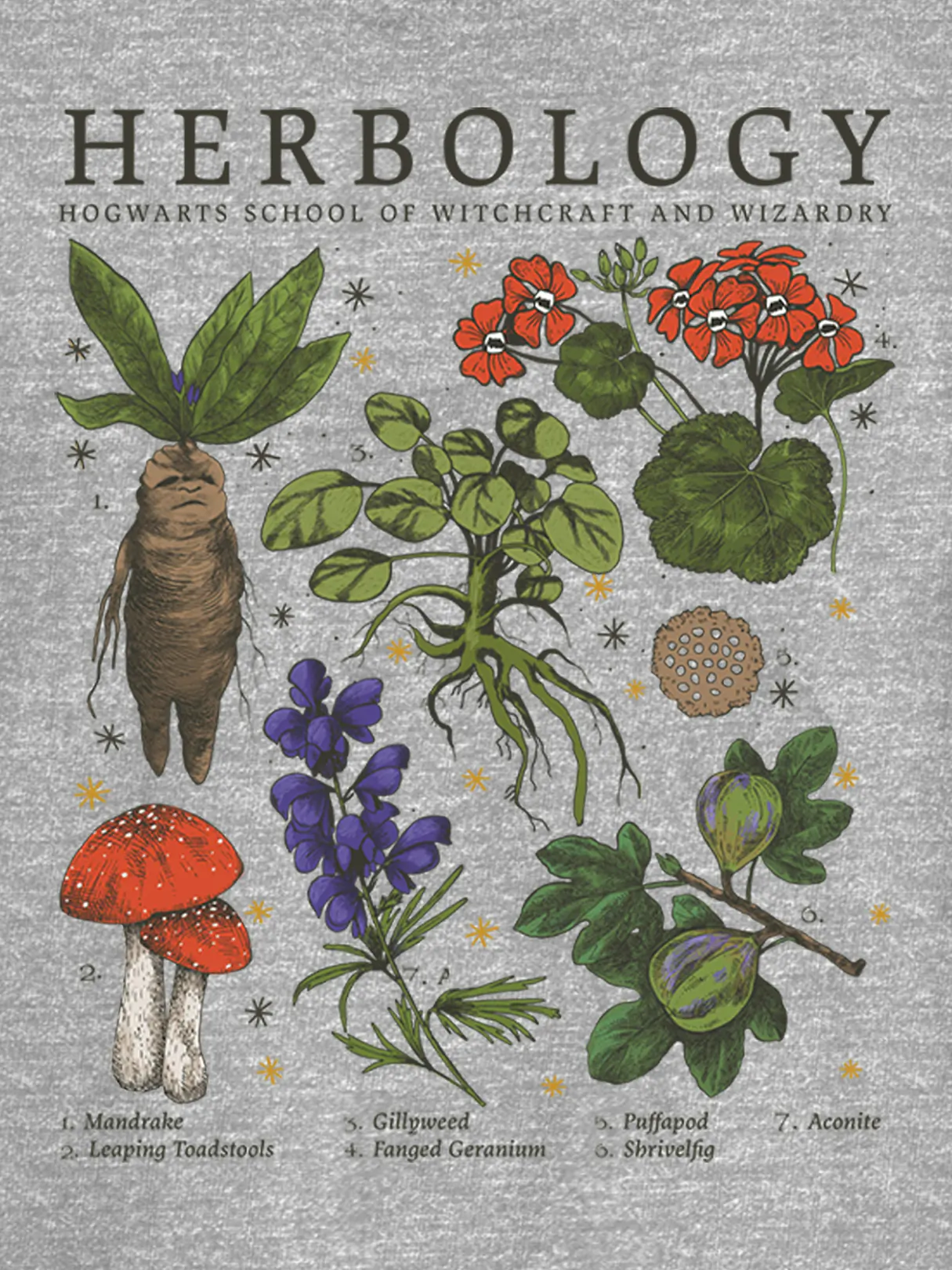 Harry Potter Herbology Graphic T-Shirt - Athletic Heather