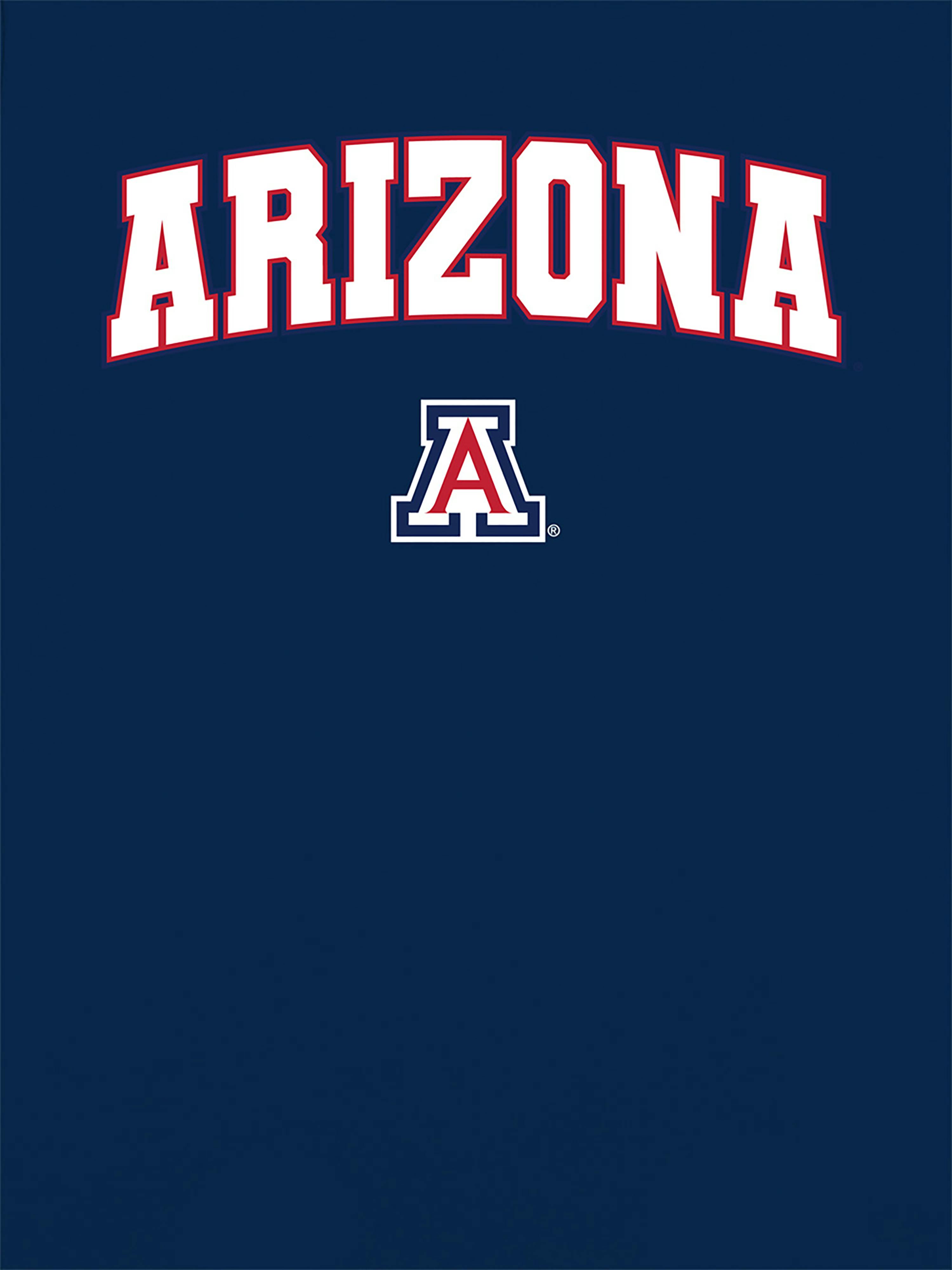 University of Arizona Arch Logo Graphic T-Shirt for Women - Navy