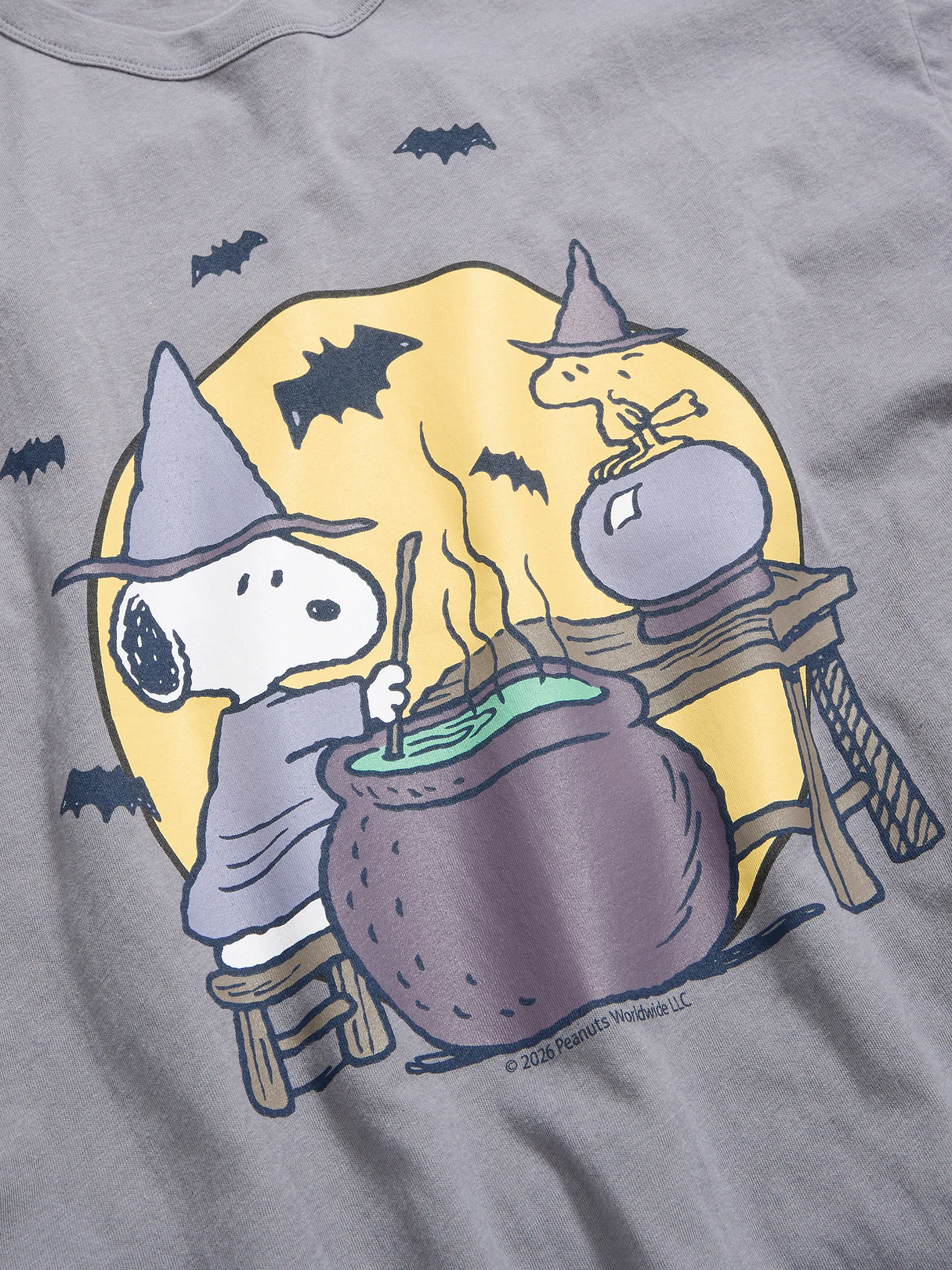 Bride of Frankenstein™ Oversized Tunic T-Shirt - Shooting Star