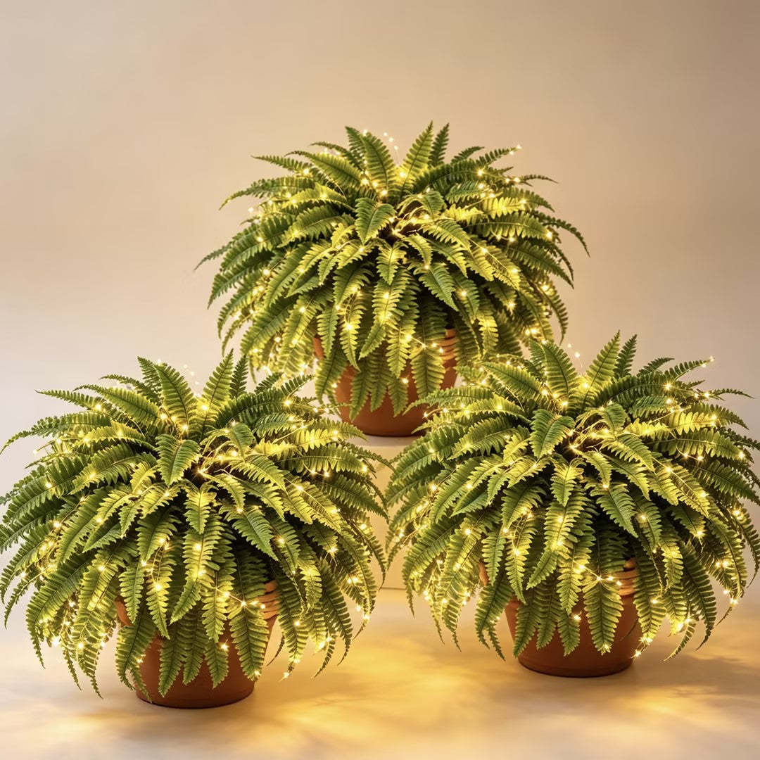✨Last Day 72% OFF🌿Glowing Boston Ferns with Lights – 💛 Zero Watering, Zero Maintenance