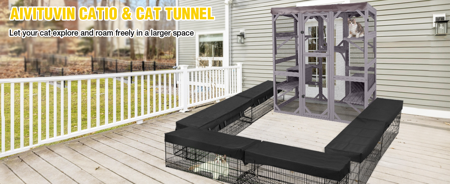 cat tunnel
