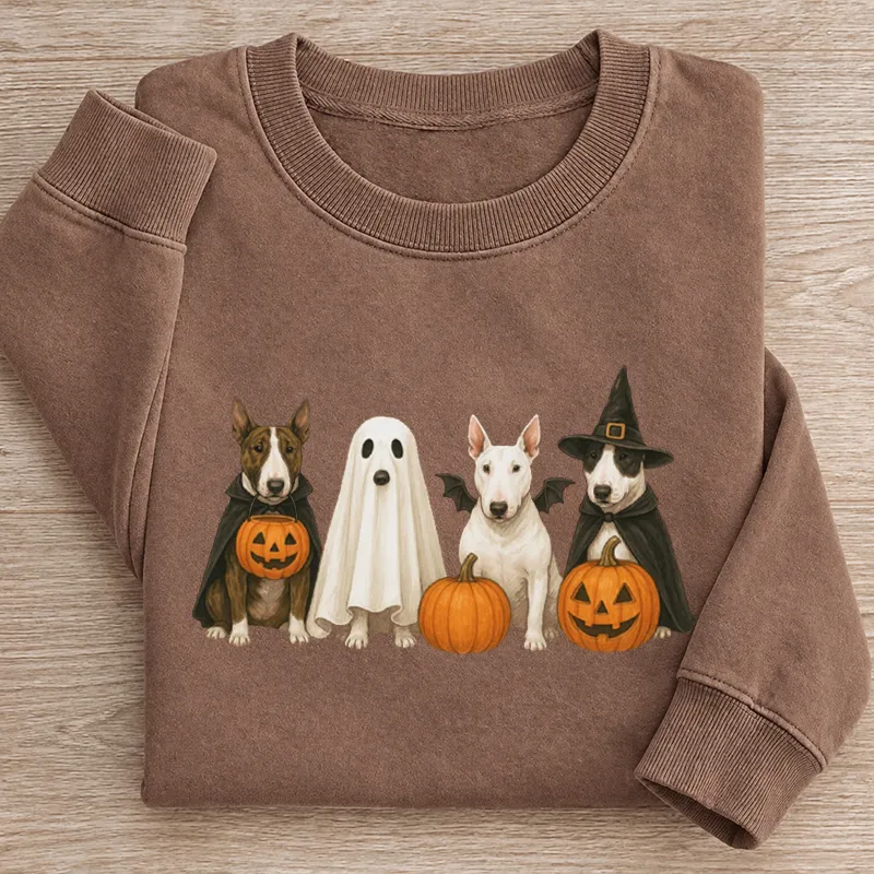 Halloween Dog Sweatshirt