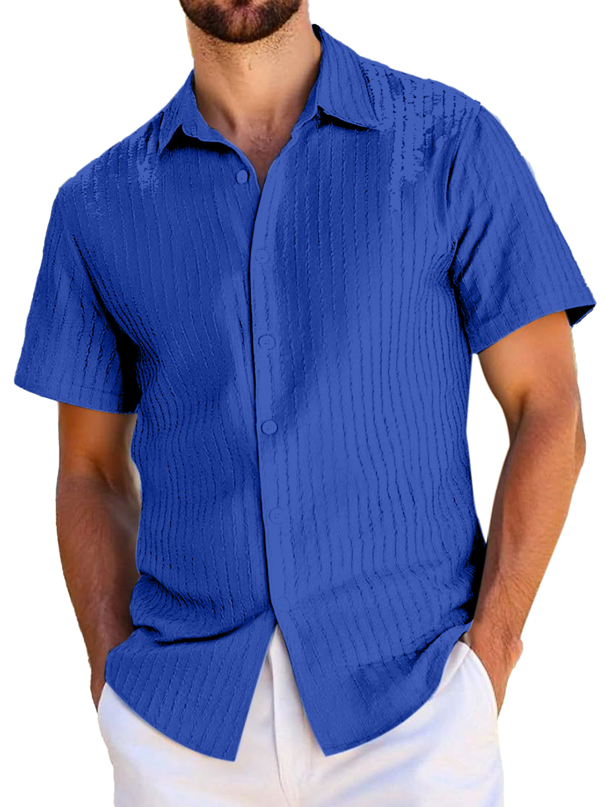Men's Everyday Casual Textured Short-sleeved Lapel Shirt