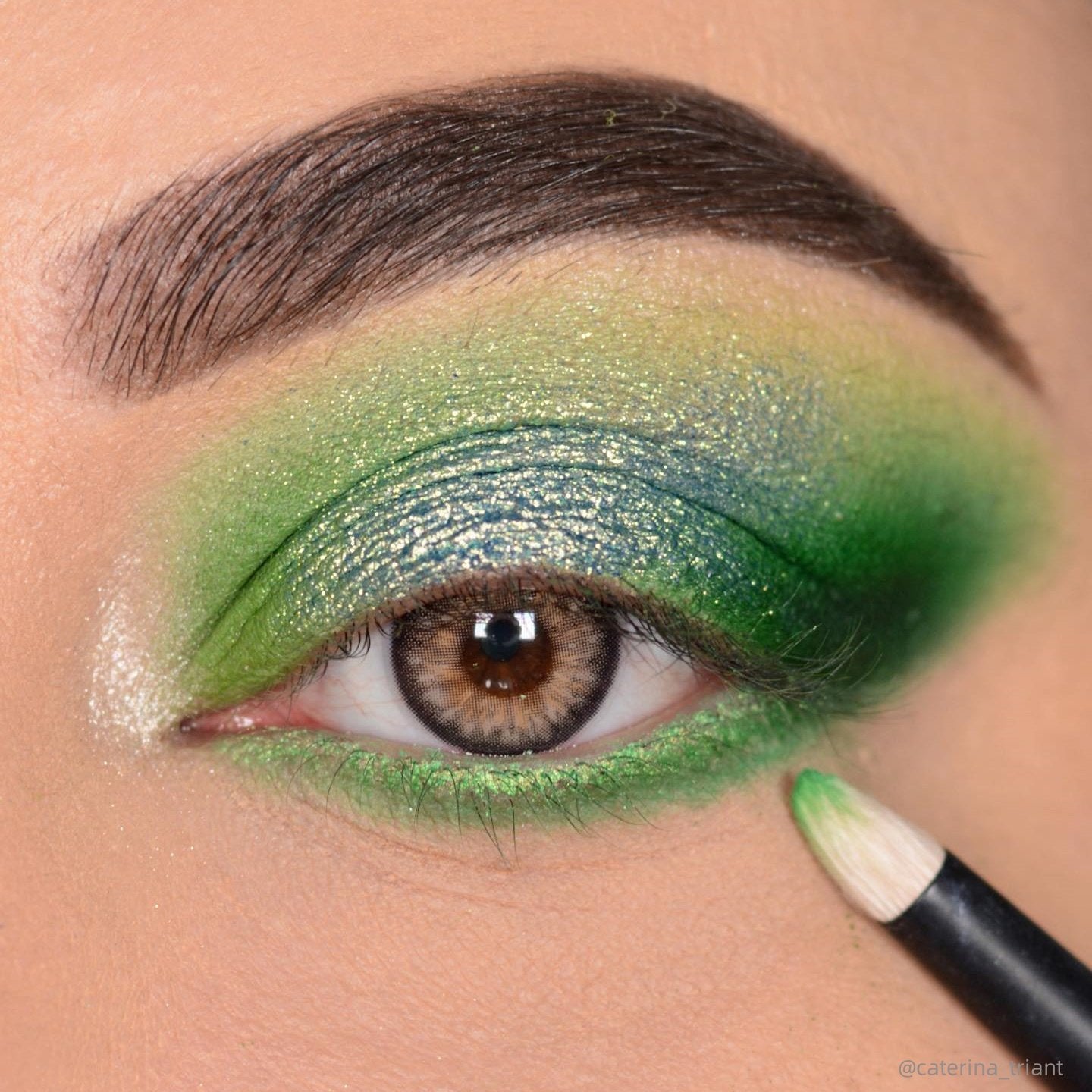 Eylumi Moon Garden Brown Colored Contact Lenses - image 6