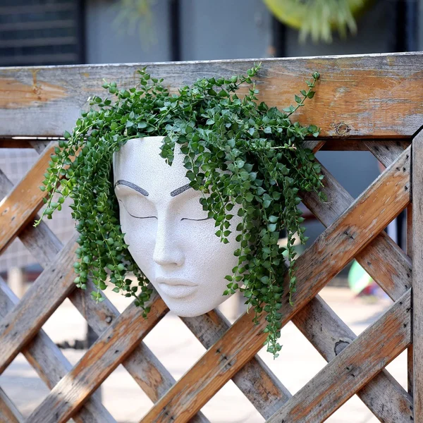 👹 Halloween Hot Sale 50% OFF🎁Plant Faces🤡