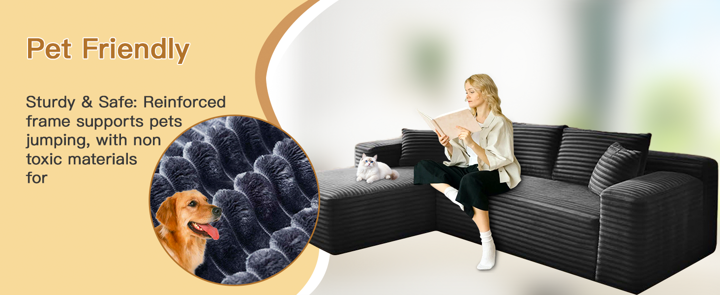 sofa
