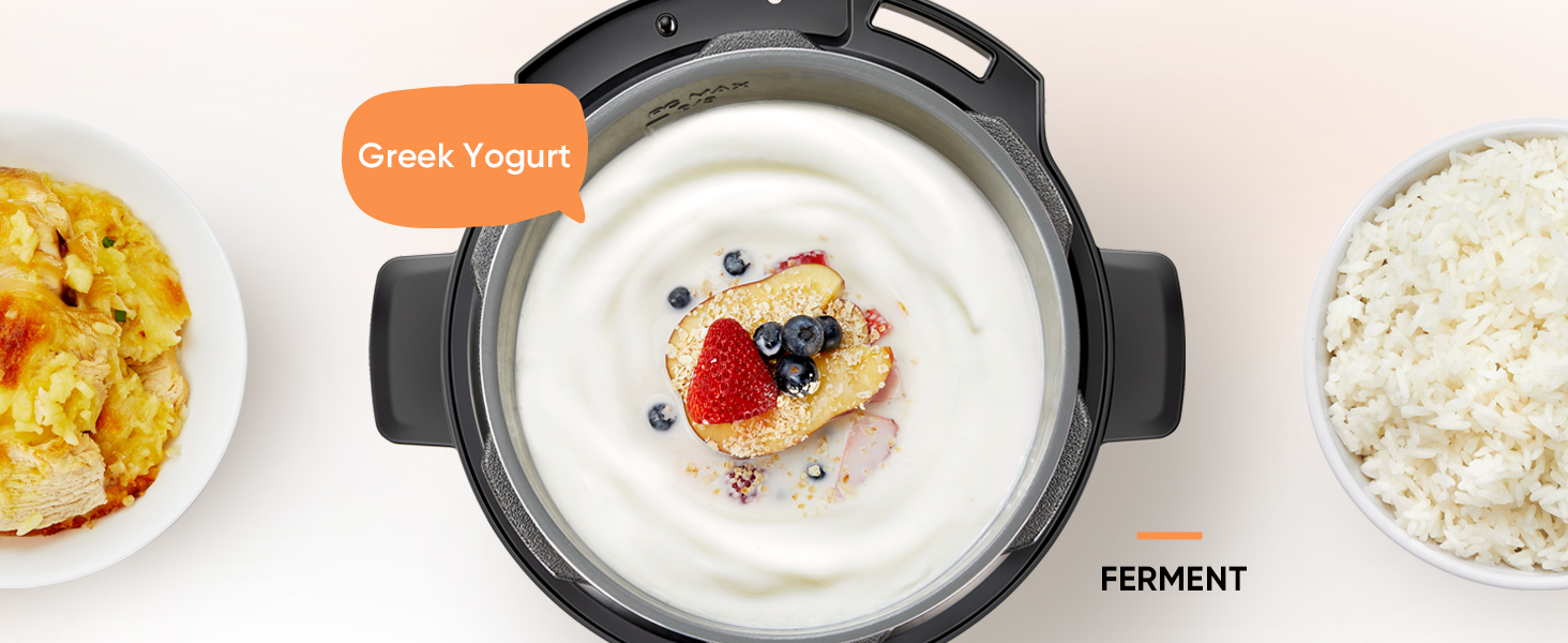 The ferment function can do more than yogurt, and support to adjust temperature within 77 ?and 356 ?